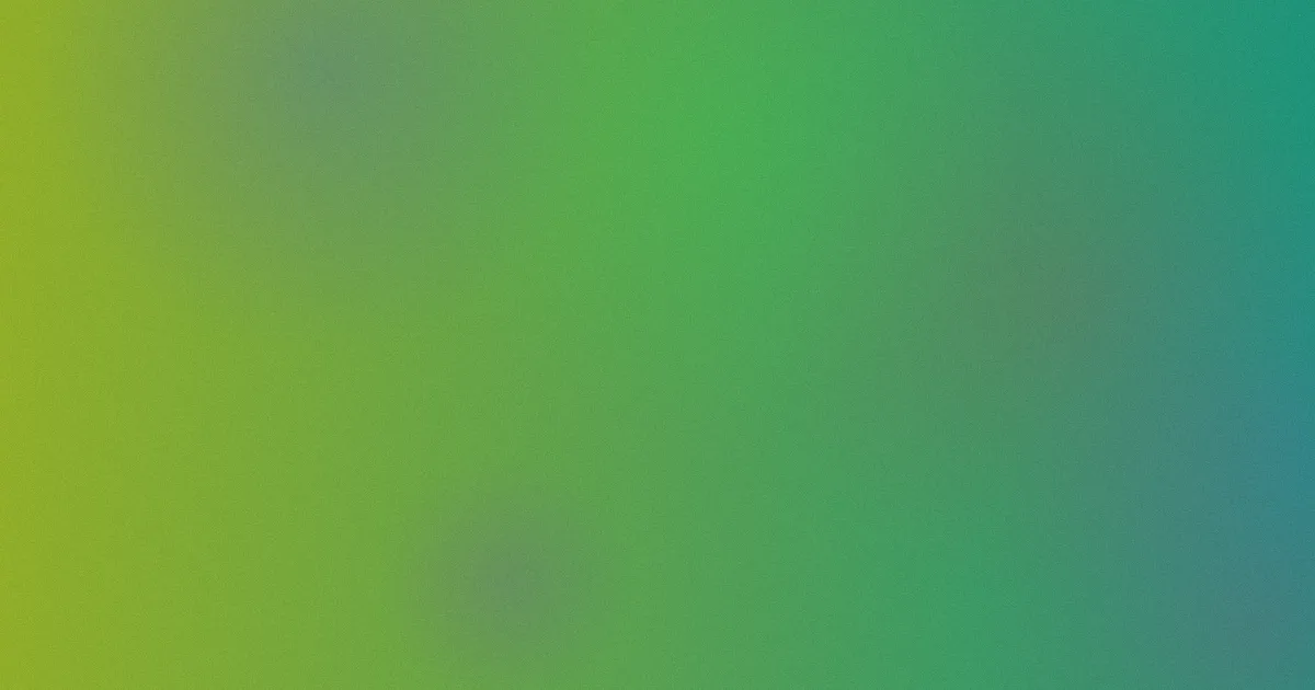 日日网站对比：一次真实复盘